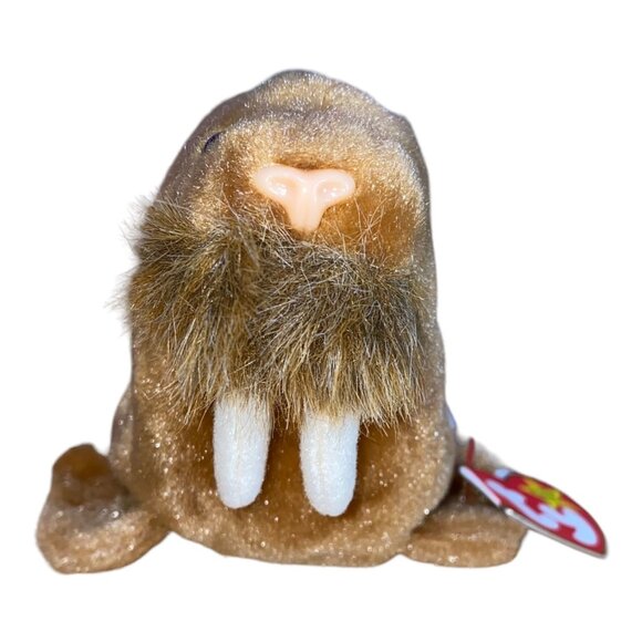 Ty Beanie Babies Paul Walrus 1999 Plush Stuffed Animal Hang 5th Gen Tush 7th Gen - Picture 1 of 11